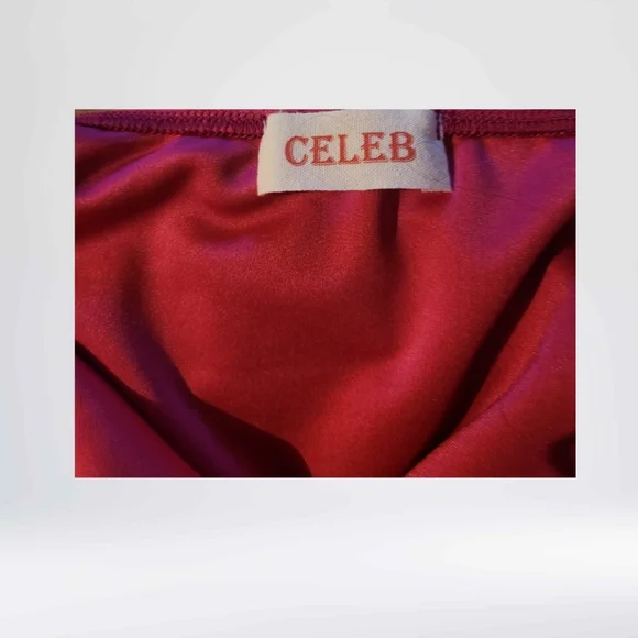 CELEB Pink Slip Dress with Spaghetti Straps and V-Neck - Picture 11 of 11